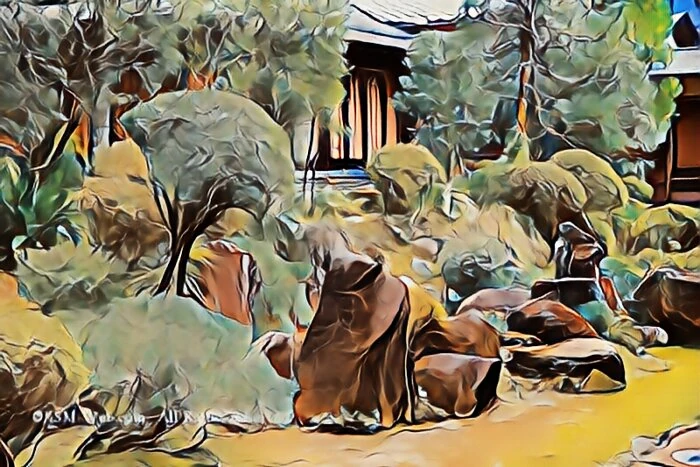 image7