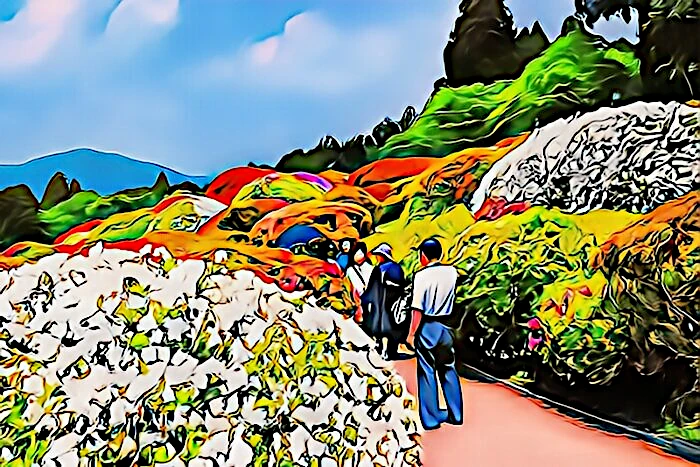 小田急 山のホテルツツジ・シャクナゲフェアーのツツジ庭園