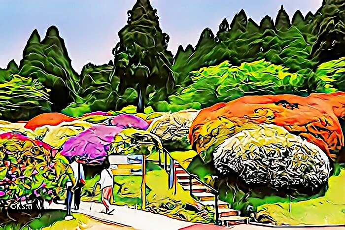 小田急 山のホテルツツジ・シャクナゲフェアーツツジ庭園
