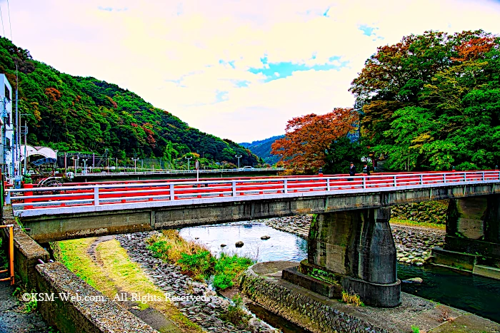 箱根湯本あじさい橋