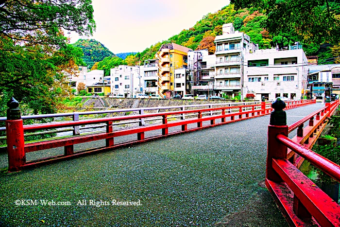 箱根湯本あじさい橋