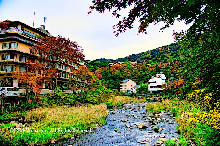 箱根湯本河鹿荘