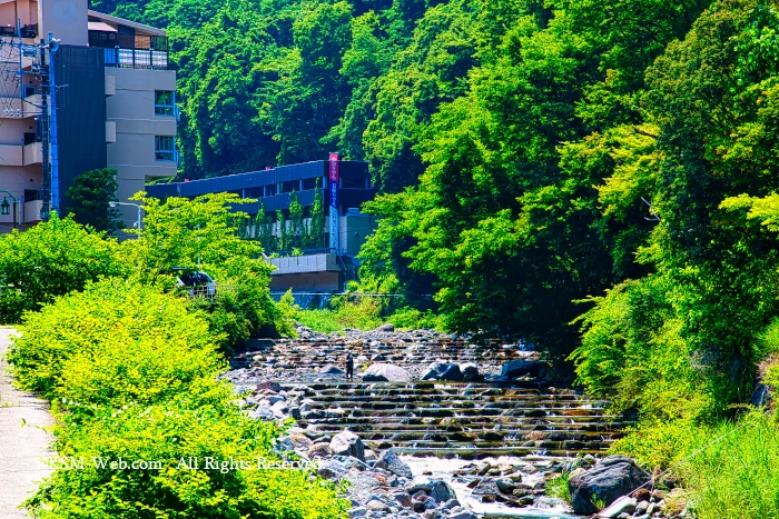 須雲川の流れ