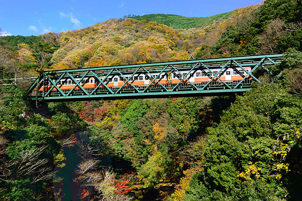 紅葉の早川橋梁（出山鉄橋）の写真