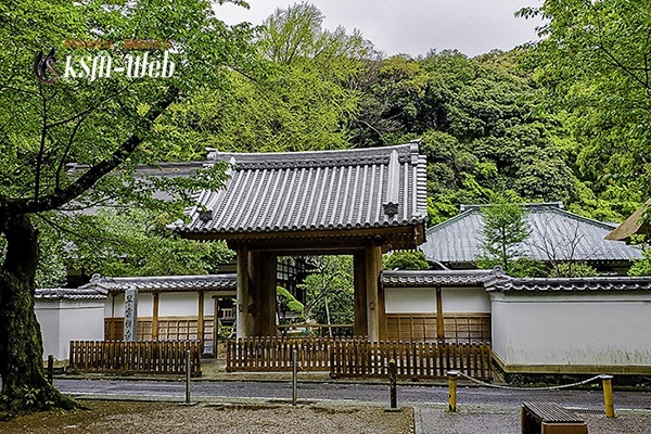 早雲寺中門の写真