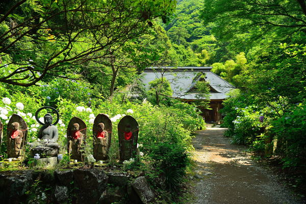 箱根阿弥陀寺の写真