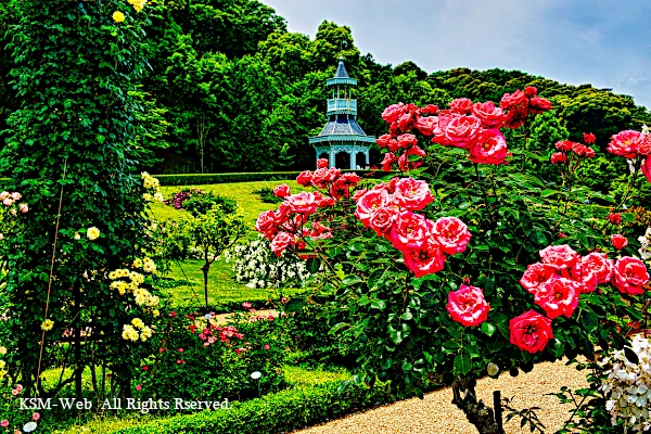 バガテル公園の写真
