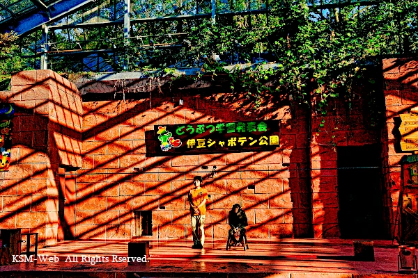 シャボテン動物公園の写真