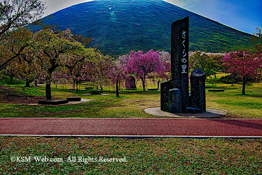 伊東市桜の里の写真