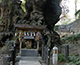 来宮神社の写真