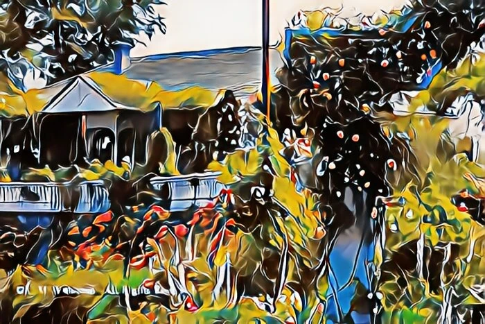 image1