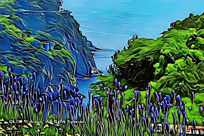 image31