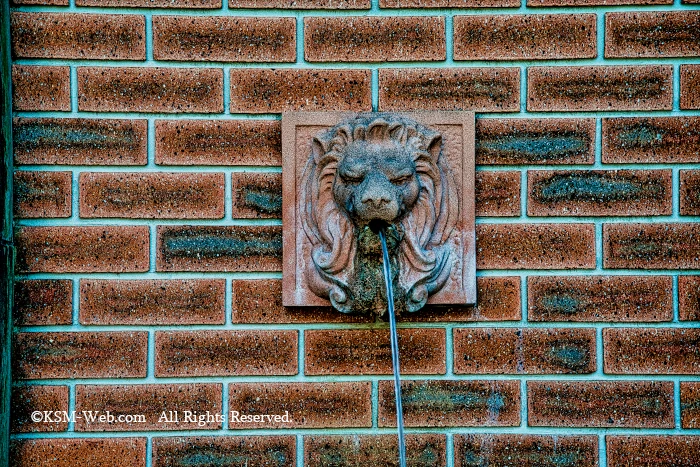 image13