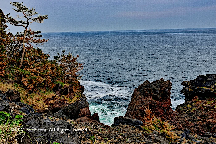 image13