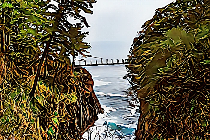 image11