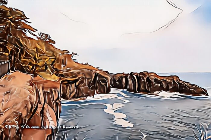 image5