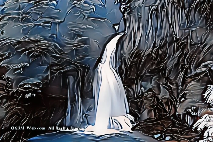 image26