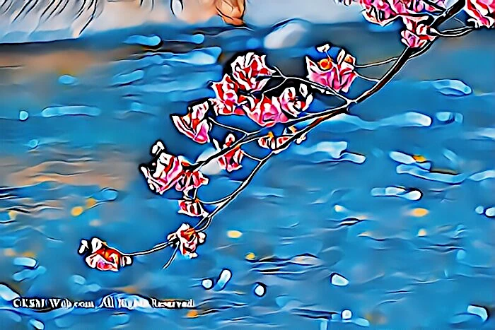 河津さくらまつり