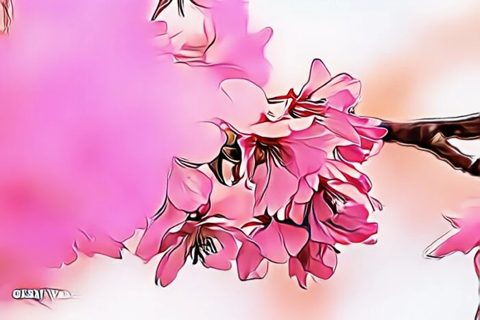 河津さくらまつり