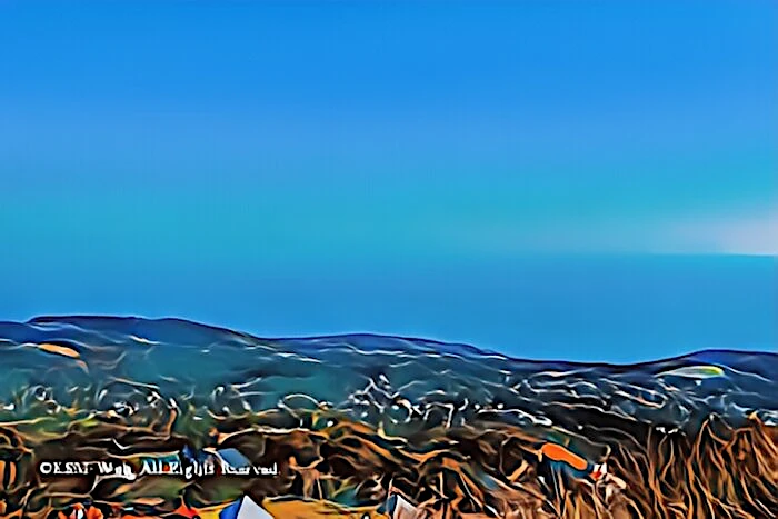 大室山山頂からの景観