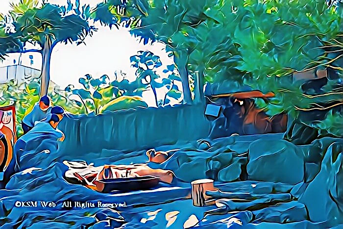 image4