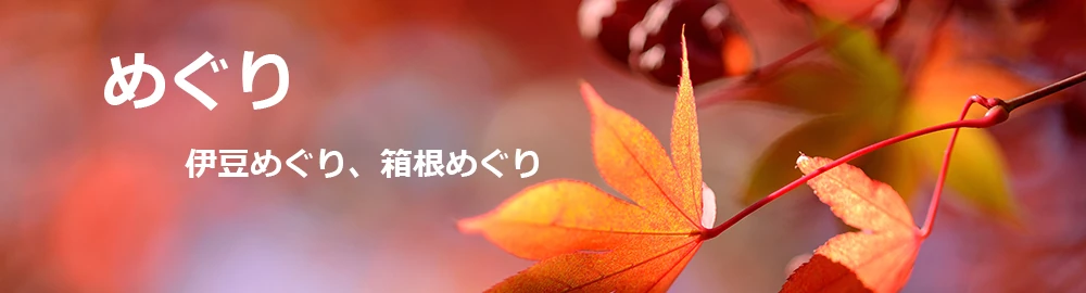紅葉の写真
