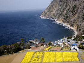 井田海水浴場の写真