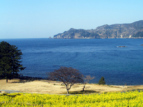 黄金崎海水浴場の写真