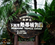 下賀茂熱帯植物園の写真