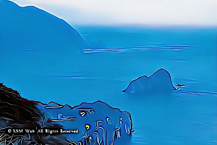 ユウスゲ
