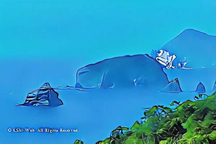 ユウスゲ