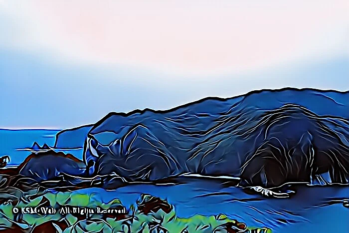 ヒリゾ浜,大根島