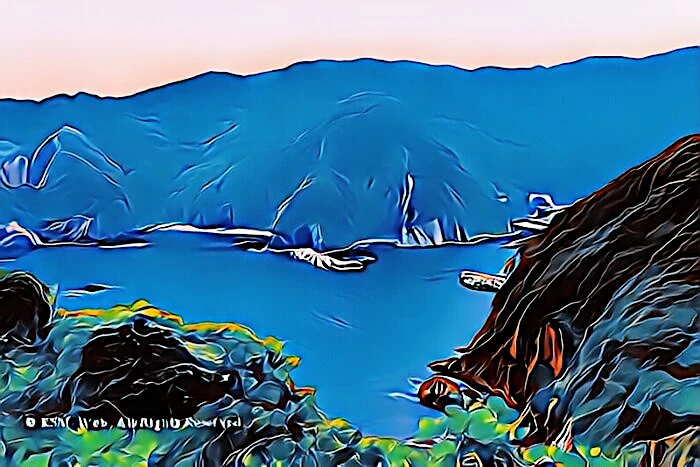 真ん中が君掛根