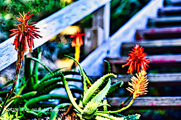 ./images/16.webp