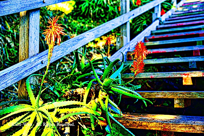 ./images/18.webp