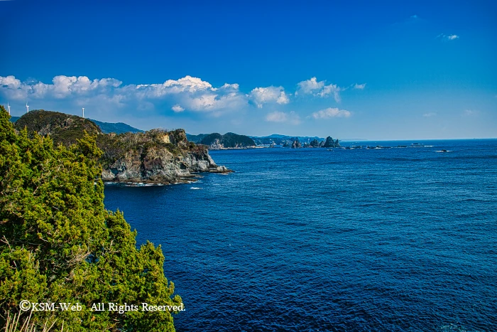 駿河湾及び遠州灘