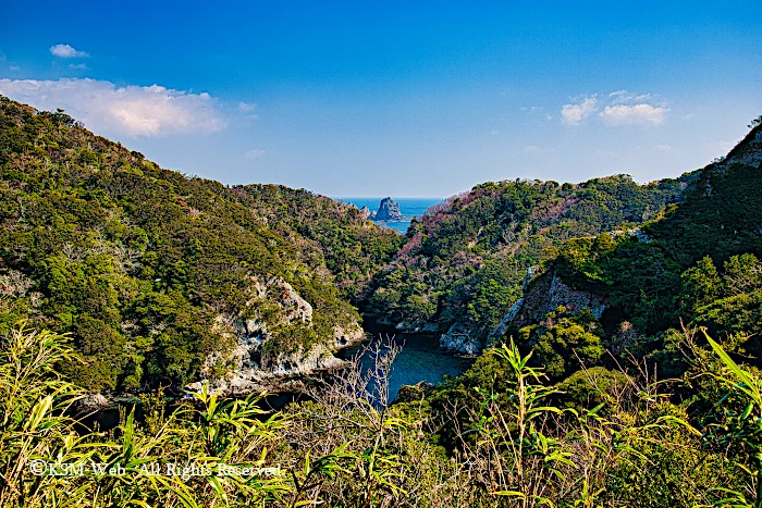 石廊崎