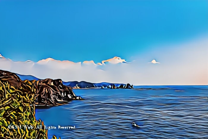 駿河湾及び遠州灘