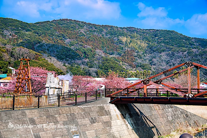 みなみの桜と温泉