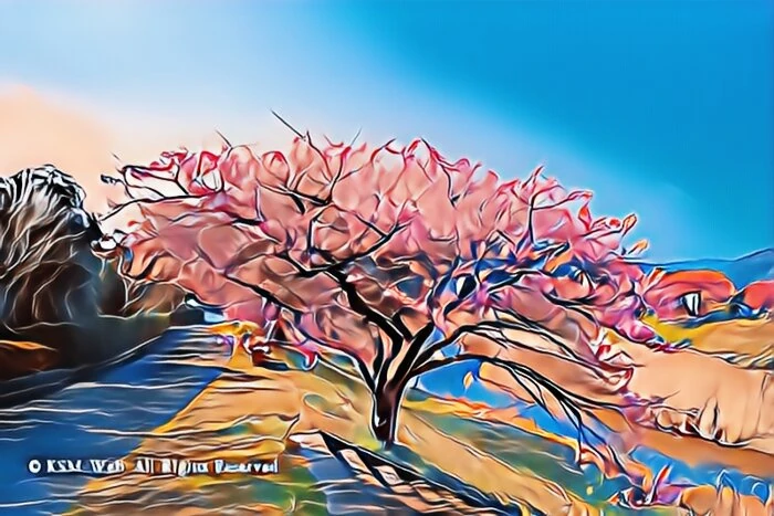 みなみの桜