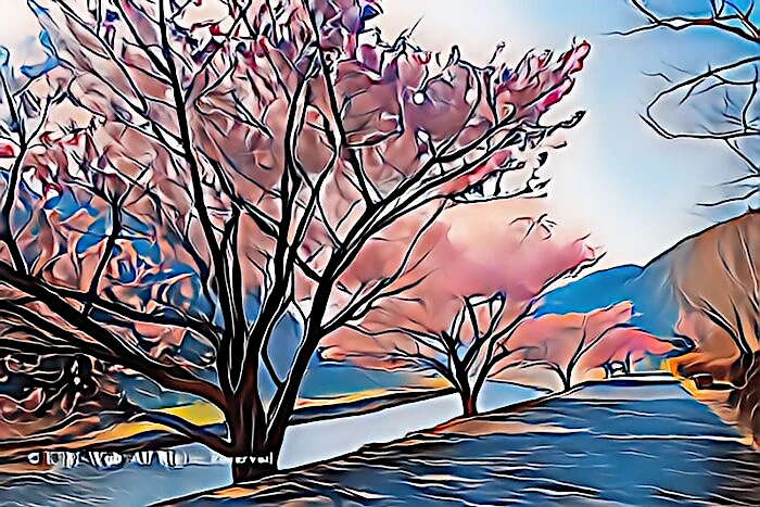 みなみの桜と清野川
