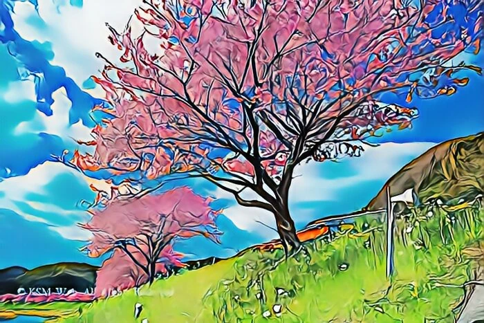 みなみの桜