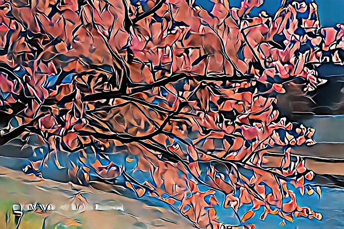 みなみの桜と清野川