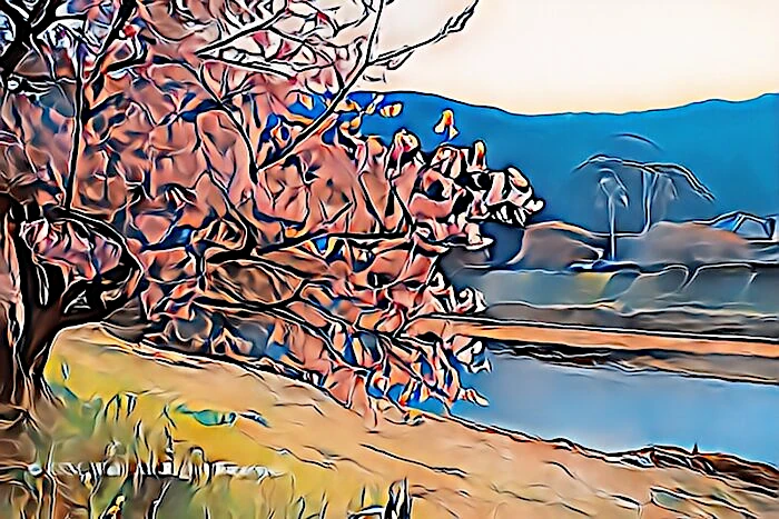 みなみの桜と清野川