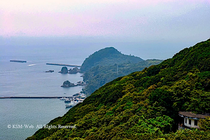 寝姿山展望台からの下田港