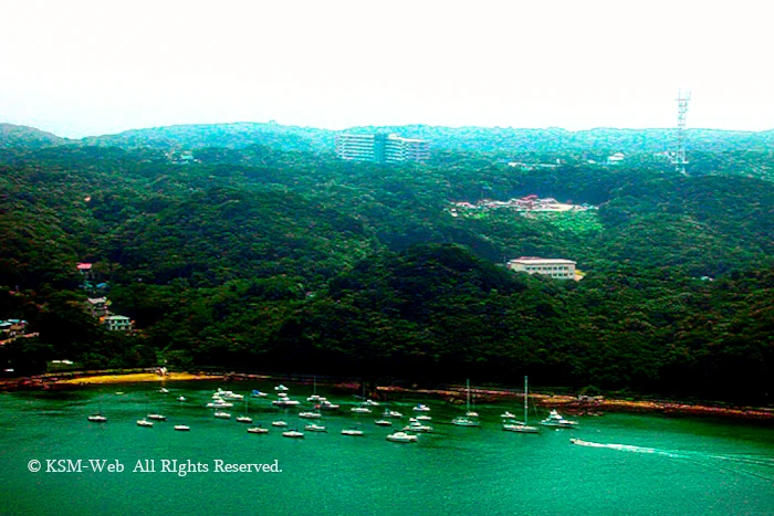 下田港