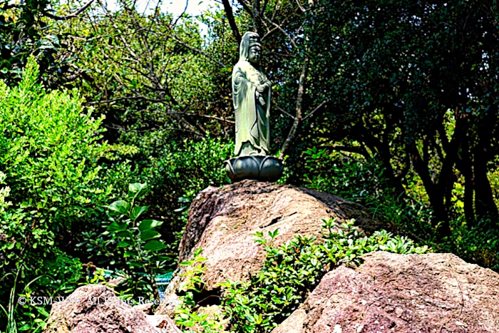 聖観音像