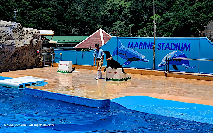下田海中水族館