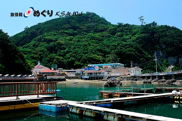 下田海中水族館