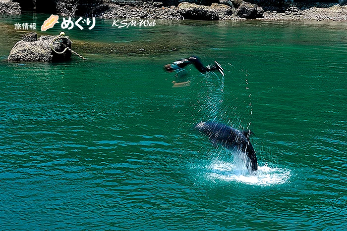 下田海中水族館